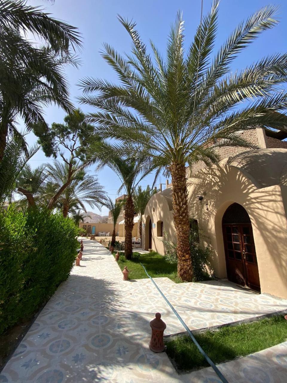 Sekhmet Retreat Centre 호텔 룩소르 외부 사진